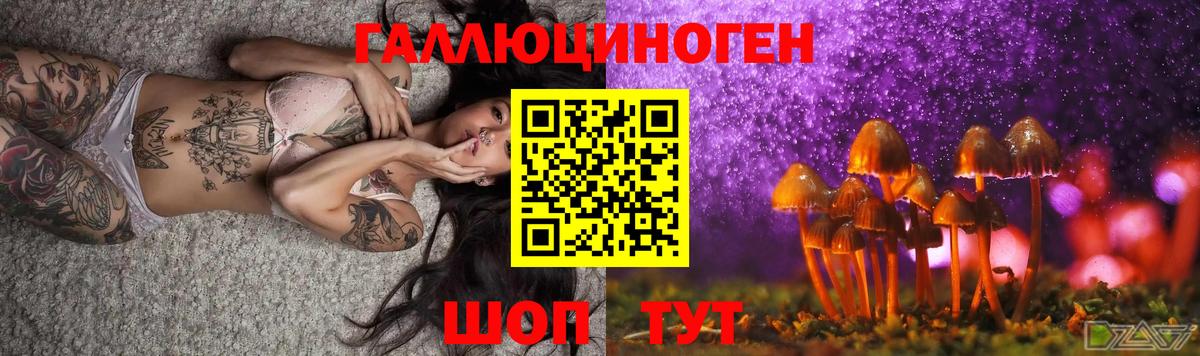 Псилоцибиновые грибы мухоморы  Псилоцибиновые грибы ЛСД  Сунжа  Вход с VPN 